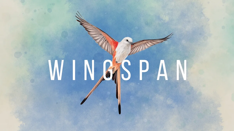 文件:Wingspan artwork.webp